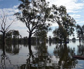 Doodle Cooma Swamp - Accommodation Kalgoorlie 1