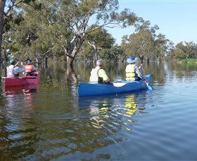 Doodle Cooma Swamp - Accommodation Kalgoorlie 0