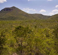 Kutini-Payamu Iron Range National Park CYPAL - Accommodation Kalgoorlie
