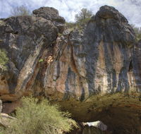 Borenore Karst Conservation Reserve - Accommodation Kalgoorlie