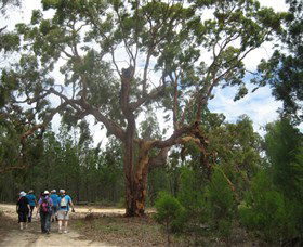 Warialda NSW Accommodation Kalgoorlie