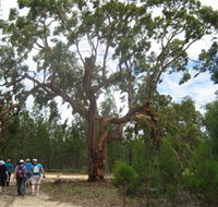 Koorilgur Nature Reserve - Accommodation Kalgoorlie