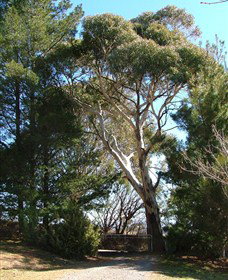 Habitat Vineyard - Accommodation Kalgoorlie 1