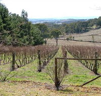 Habitat Vineyard - Accommodation Kalgoorlie