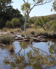 Camel Trail, Millstream-Chichester National Park - Accommodation Kalgoorlie 3