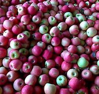 Hillside Orchard - Accommodation Kalgoorlie