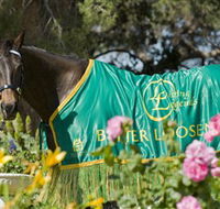 Living Legends The International Home of Rest for Champion Horses - Accommodation Kalgoorlie
