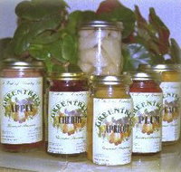 Greentrees Gourmet Preserves - Accommodation Kalgoorlie