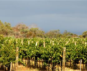 Amulet Vineyard And Beechworth Cider - Accommodation Kalgoorlie 7