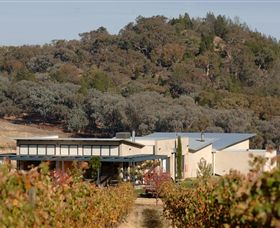 Amulet Vineyard And Beechworth Cider - Accommodation Kalgoorlie 8
