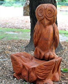 Albury Botanic Gardens - Accommodation Kalgoorlie 7