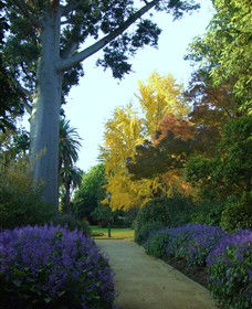 Albury Botanic Gardens - Accommodation Kalgoorlie 4