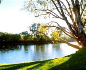 Albury - Murray River Precinct - Accommodation Kalgoorlie 0
