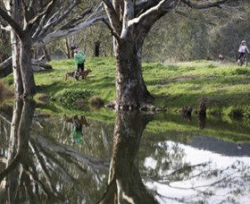 Albury - Murray River Precinct - Accommodation Kalgoorlie 3