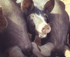 Ravens Creek Farm - Accommodation Kalgoorlie 3