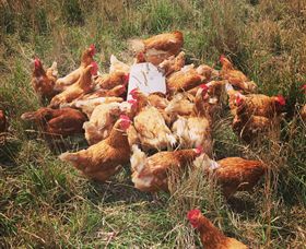 Ravens Creek Farm - Accommodation Kalgoorlie 6