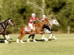 Morgan Park, Warwick - Accommodation Kalgoorlie 0