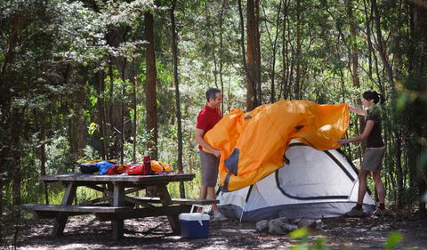Bald Rock National Park - Accommodation Kalgoorlie 1