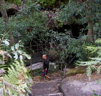 Leura Cascades Fern Bower - Accommodation Kalgoorlie