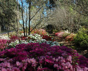 Wildwood Garden - Accommodation Kalgoorlie 2