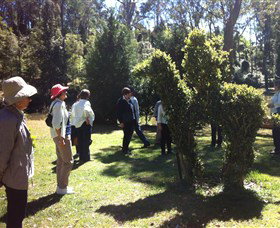 Wildwood Garden - Accommodation Kalgoorlie 3