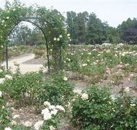 Victoria Park Rose Garden - Accommodation Kalgoorlie