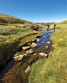Australian Alps Walking Track - Accommodation Kalgoorlie 0