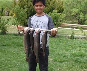 Eucumbene Trout Farm - Accommodation Kalgoorlie 3