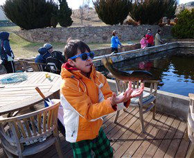 Eucumbene Trout Farm - Accommodation Kalgoorlie 2