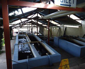 Eucumbene Trout Farm - Accommodation Kalgoorlie 5