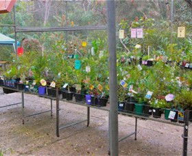 Glenbrook Native Plant Reserve And Nursery - Accommodation Kalgoorlie 3