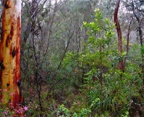Glenbrook Native Plant Reserve And Nursery - Accommodation Kalgoorlie 2
