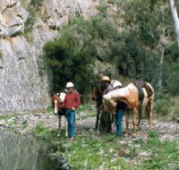 Yarramba Horse Riding - Accommodation Kalgoorlie