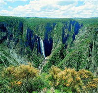Wollomombi Falls - Accommodation Kalgoorlie