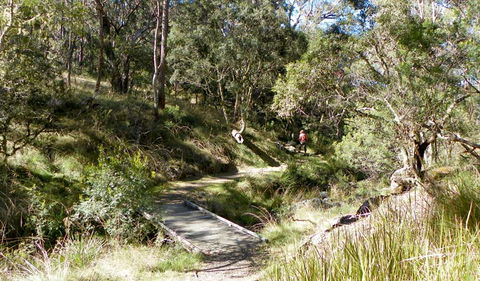 Wollomombi Walking Track - Accommodation Kalgoorlie 0