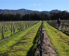 Around Hermitage Wine And Food Trail Hunter Valley - Accommodation Kalgoorlie 1