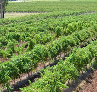Pokolbin Brothers Wines Hunter Valley - Accommodation Kalgoorlie