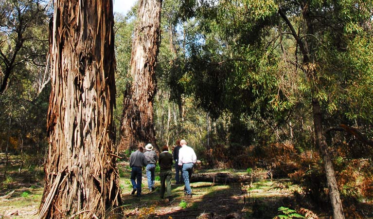 Araluen NSW Accommodation Kalgoorlie