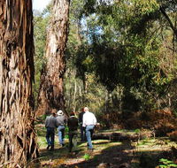 Tallaganda National Park - Accommodation Kalgoorlie