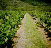 Gartelmann Wines