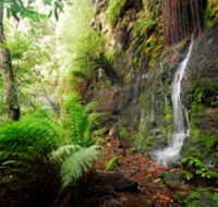 Fairy Bower Falls