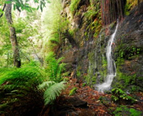Fairy Bower Falls - Accommodation Kalgoorlie 0