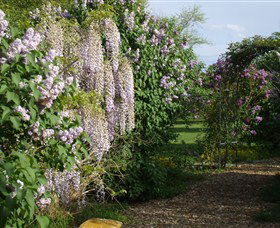 Back O The Moon - Accommodation Kalgoorlie 3