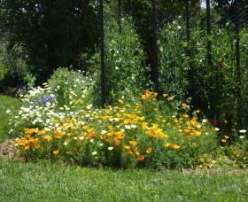 Back O The Moon - Accommodation Kalgoorlie 2