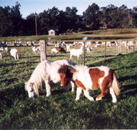 Trudgalong Farm - Accommodation Kalgoorlie