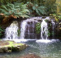 Barrington Tops National Park Walks - Accommodation Kalgoorlie