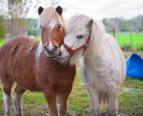 Amazement Farm And Fun Park / Cafe And Farmstay Accommodation - Accommodation Kalgoorlie 5
