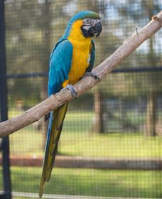 Amazement Farm And Fun Park / Cafe And Farmstay Accommodation - Accommodation Kalgoorlie 8