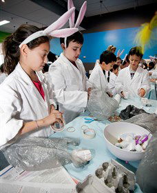 Australian Nuclear Science And Technology Organisation - Accommodation Kalgoorlie 1