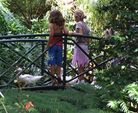 EG Waterhouse National Camellia Garden - Accommodation Kalgoorlie 0